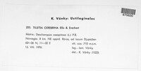 Tilletia cerebrina image